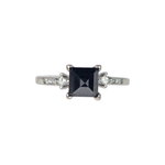 Load image into Gallery viewer, 14ct White Gold Black Diamond Ring with Princess Cut accents