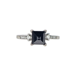 Load image into Gallery viewer, 14ct White Gold Black Diamond Ring with Princess Cut accents
